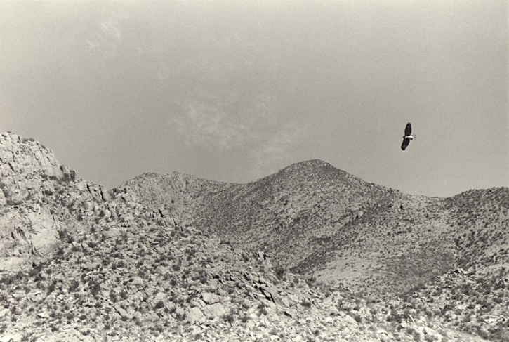 Bernard Plossu
Eagle, Arizona, 1979
© Bernard Plossu