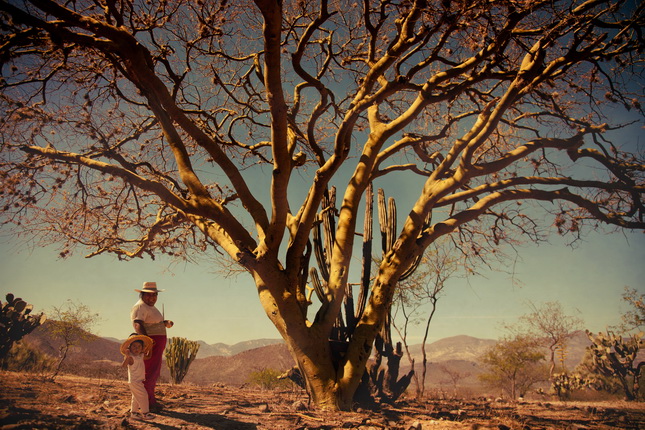 Петр Ловыгин.
Зеленое дерево на тропе Слонов.
Теуакан, Мексика, февраль 2012