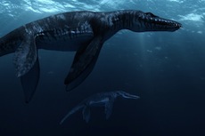 «Морские динозавры»  3D